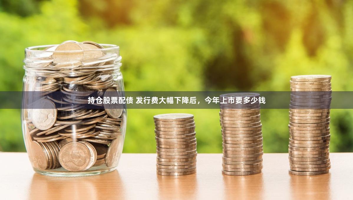 持仓股票配债 发行费大幅下降后，今年上市要多少钱