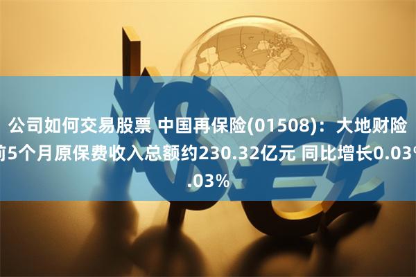 公司如何交易股票 中国再保险(01508)：大地财险前5个月原保费收入总额约230.32亿元 同比增长0.03%