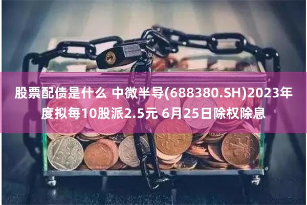 股票配债是什么 中微半导(688380.SH)2023年度拟每10股派2.5元 6月25日除权除息