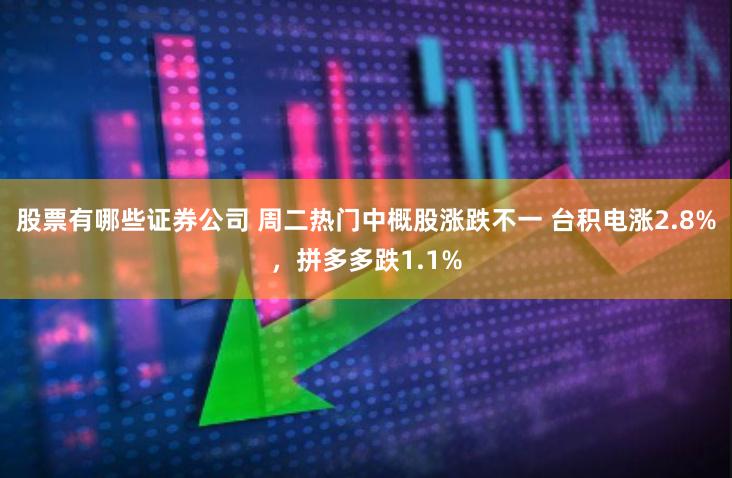 股票有哪些证券公司 周二热门中概股涨跌不一 台积电涨2.8%，拼多多跌1.1%